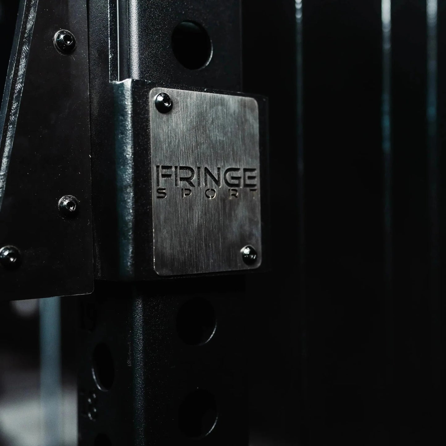The Dane 2.0 Half Rack Functional Trainer by Fringe Sport