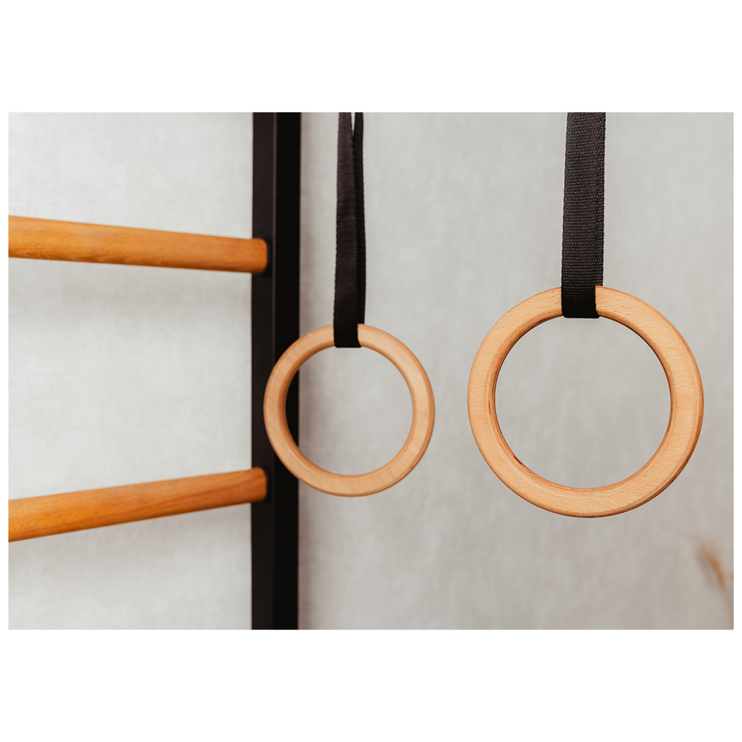 BenchK 221B + A076 Wall Bars