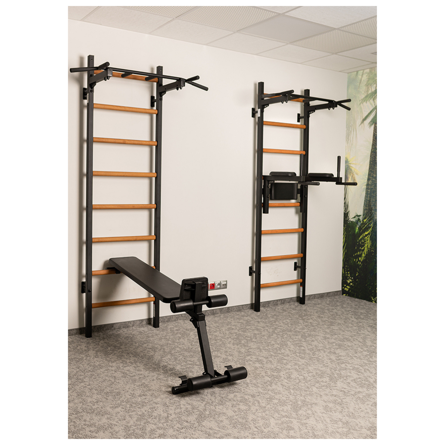 BenchK 223B Wall Bars