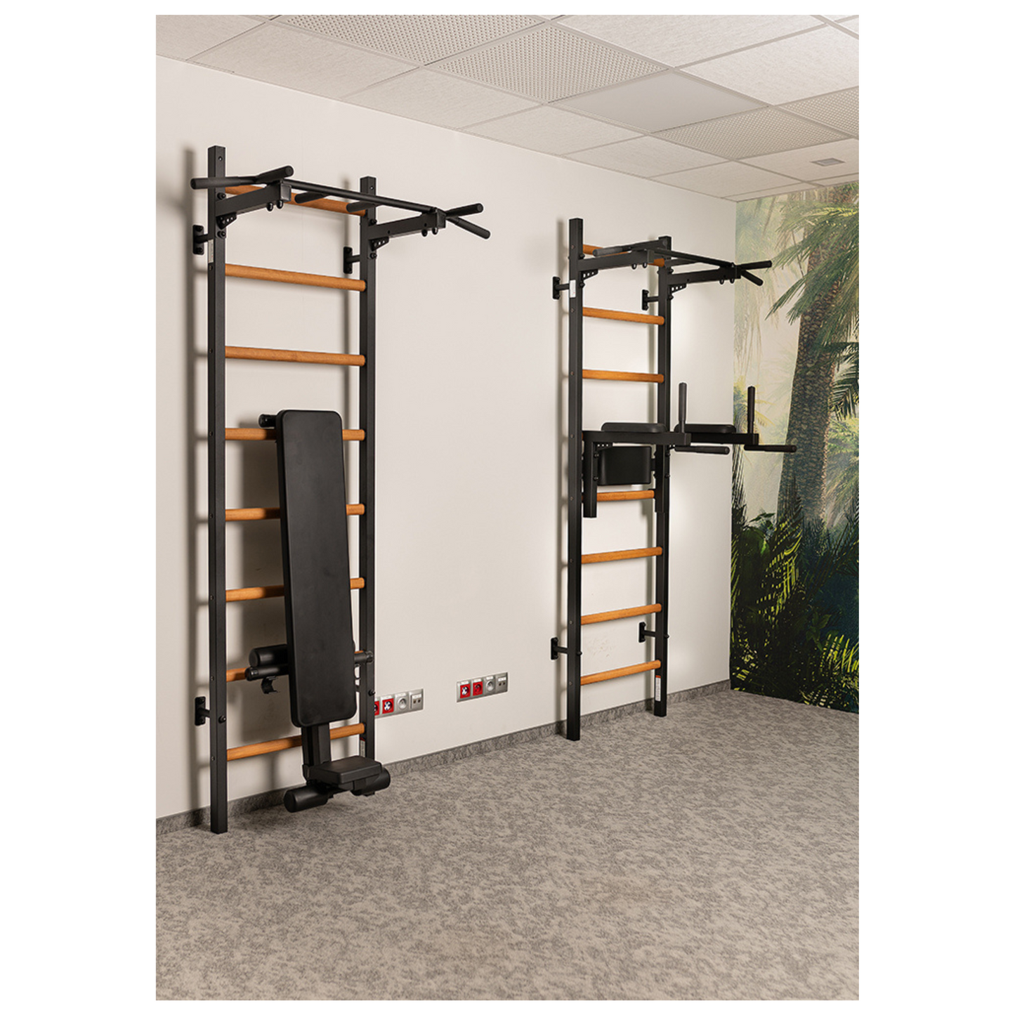 BenchK 223B Wall Bars