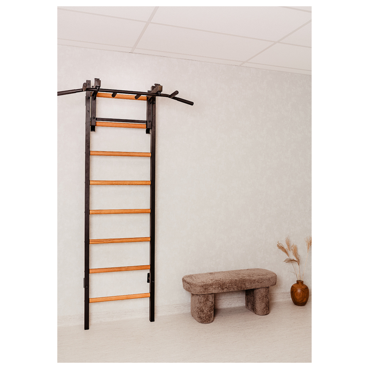BenchK 231B Wall Bars