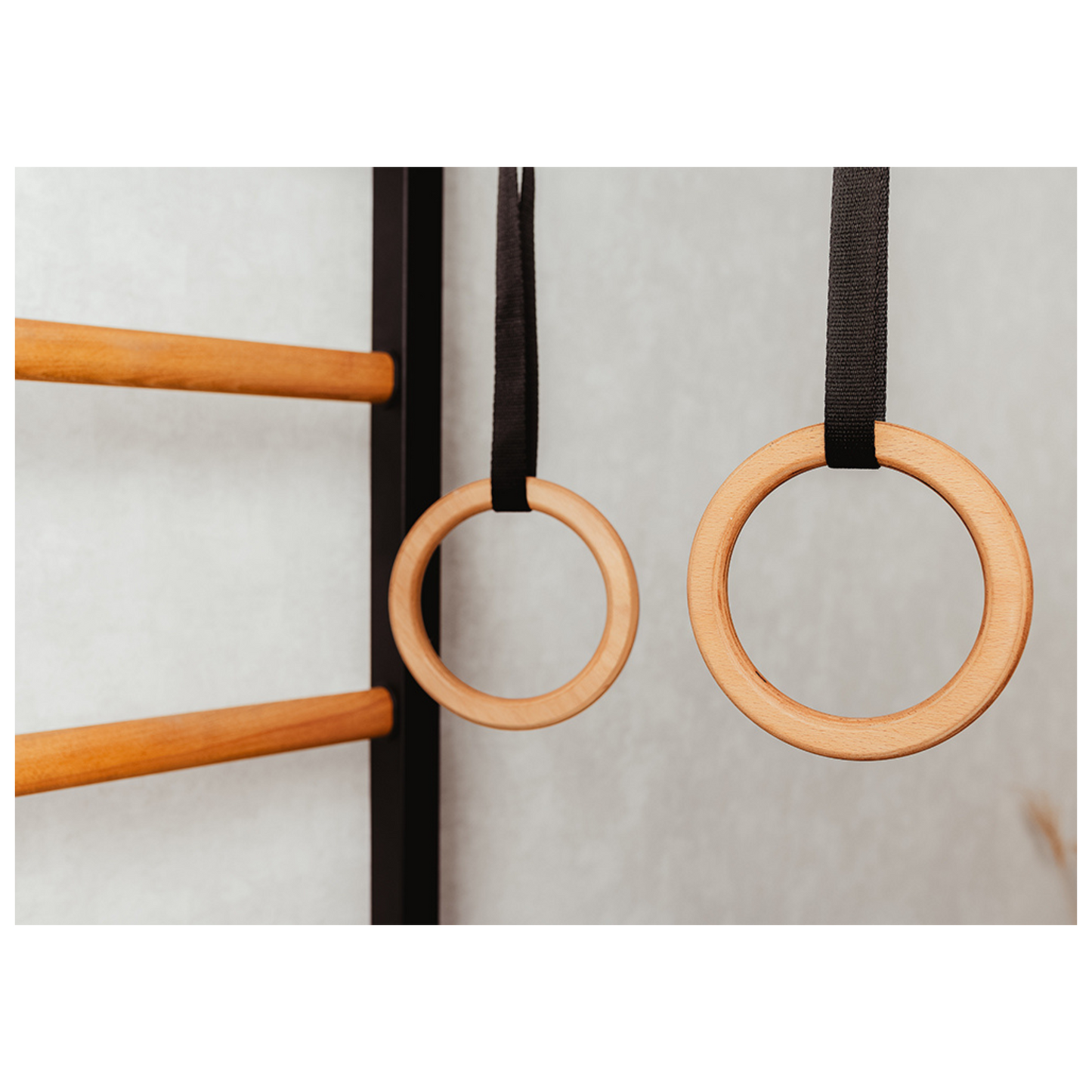 BenchK 721B + A076 Wall Bars with Accessories