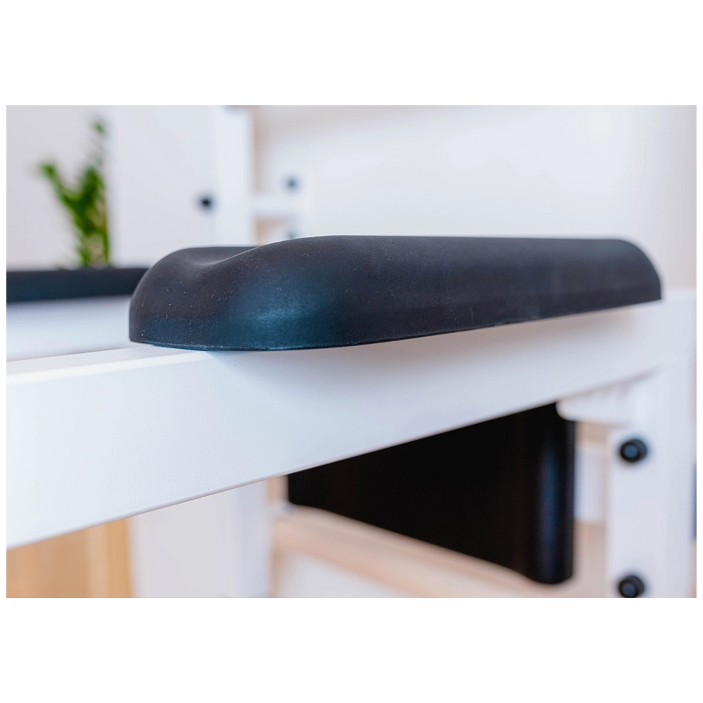 BenchK 722W Wall Bars with Pull-Up Bar & Dip Station