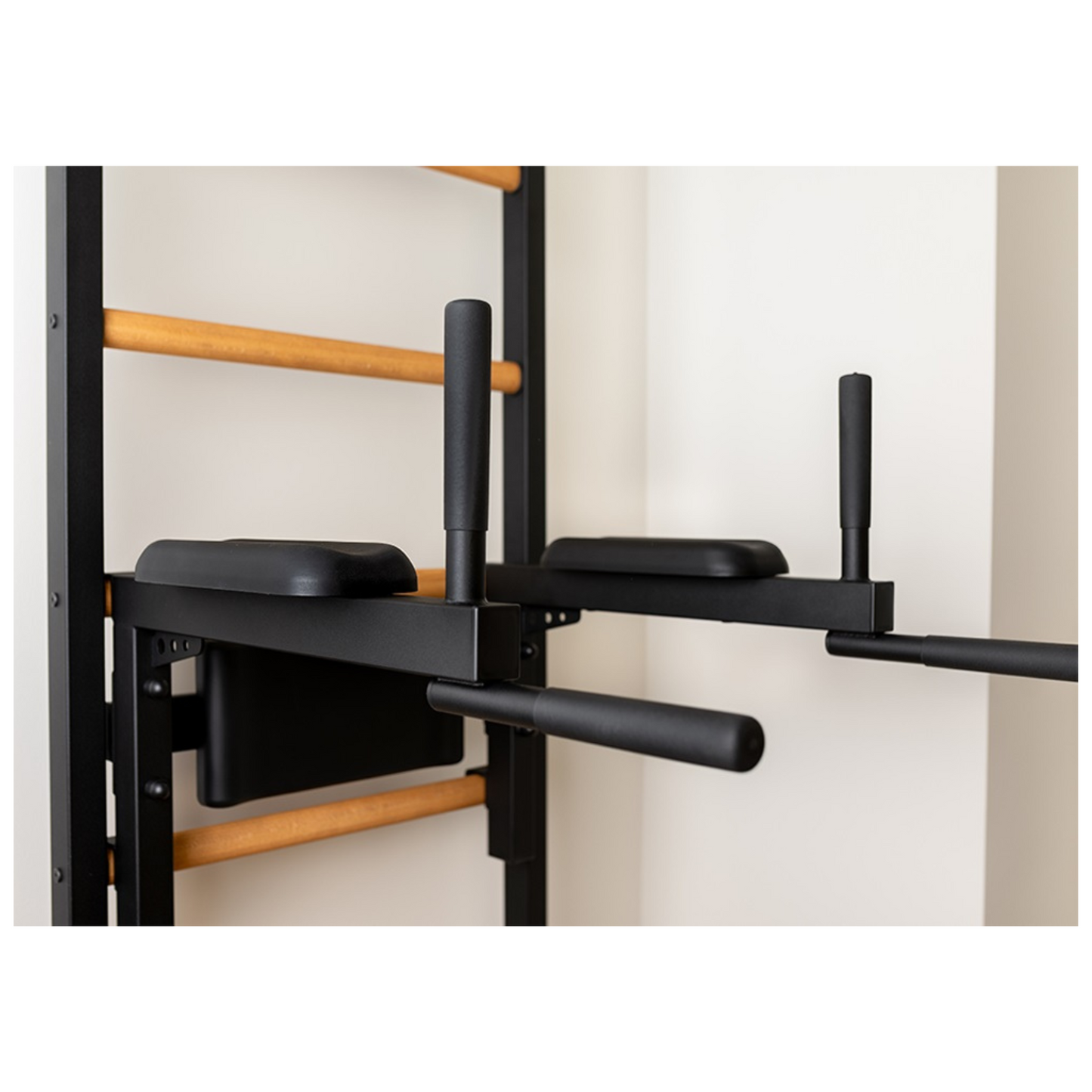 BenchK 723B Gymnastic Ladder for Home Gym or Fitness Room