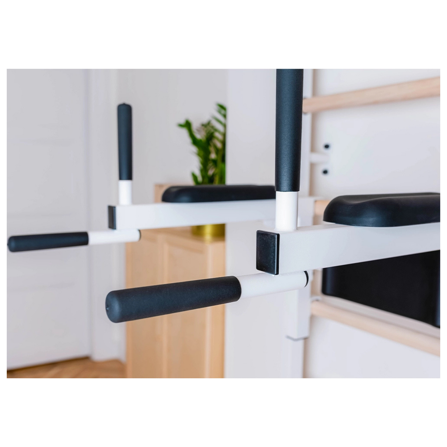 BenchK 723W Gymnastic Ladder for Home Gym or Fitness Room