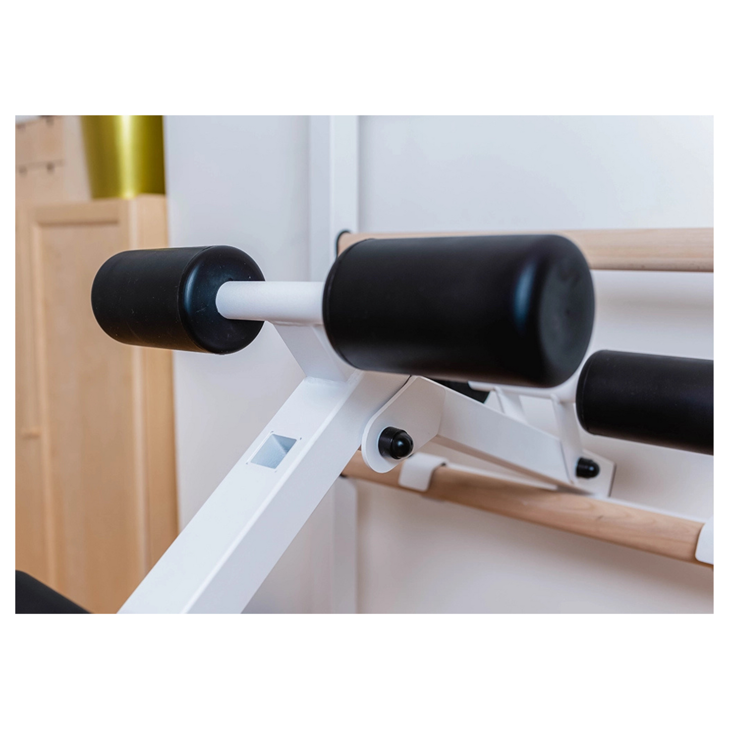 BenchK 733W Wall Bars for Home Gym and Personal Studio