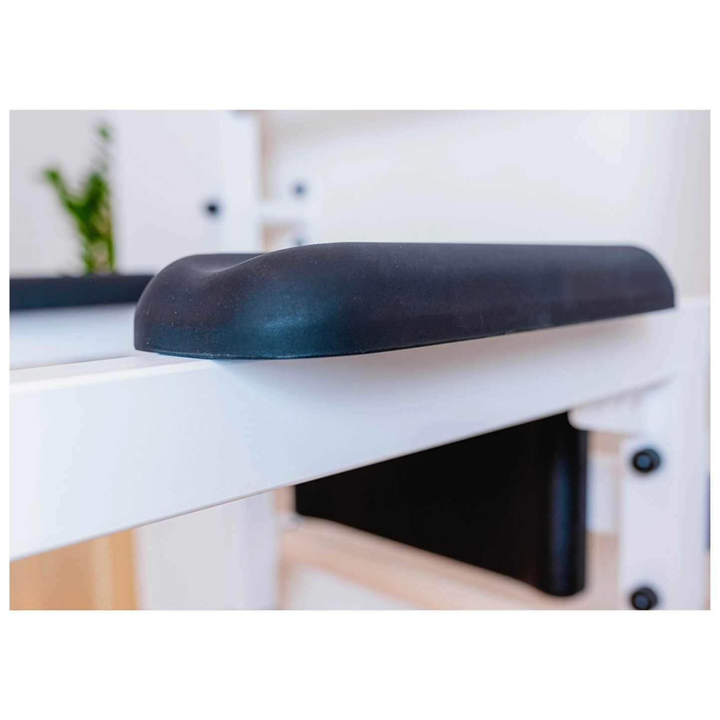 BenchK 733W Wall Bars for Home Gym and Personal Studio