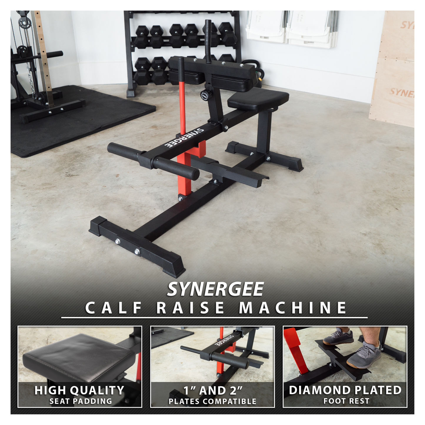 Synergee Seated Calf Raise Machine