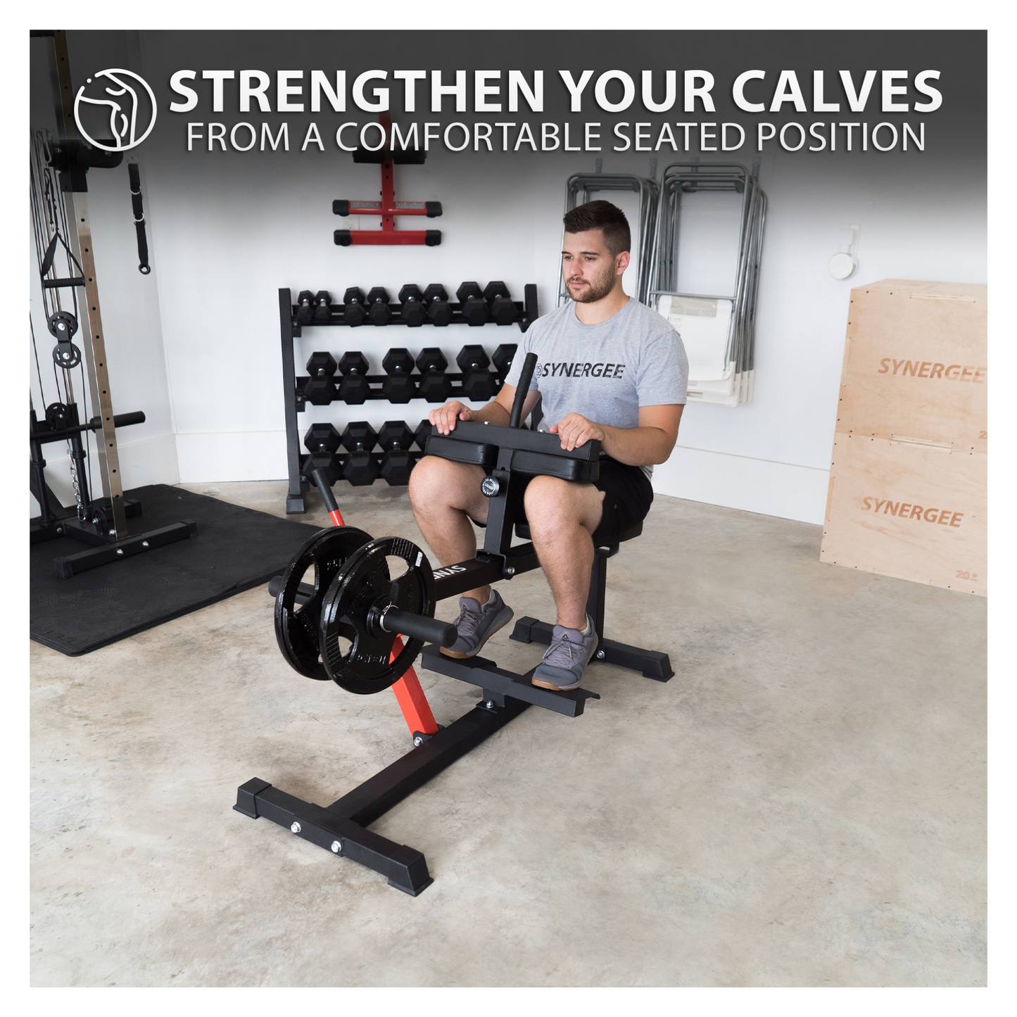 Synergee Seated Calf Raise Machine