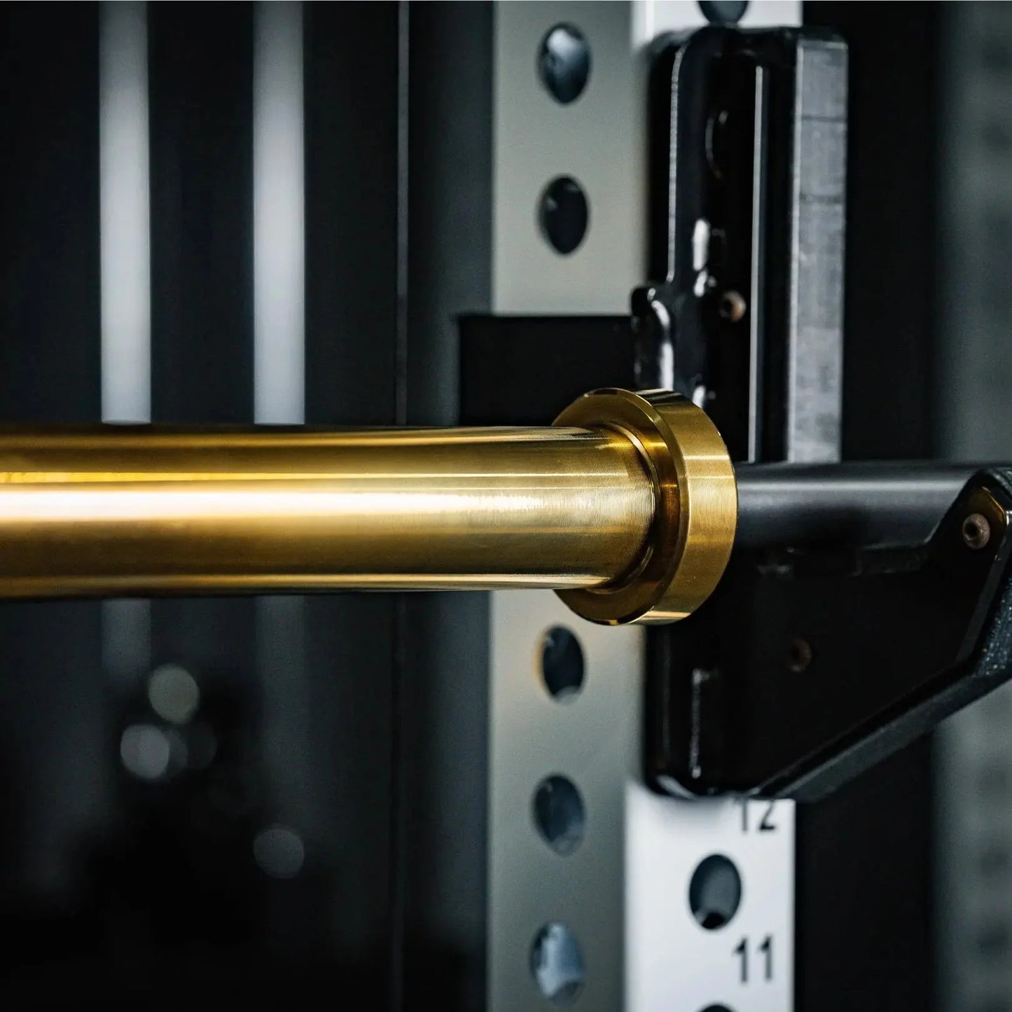 Fringe Sport Midas EZ Curl Bar