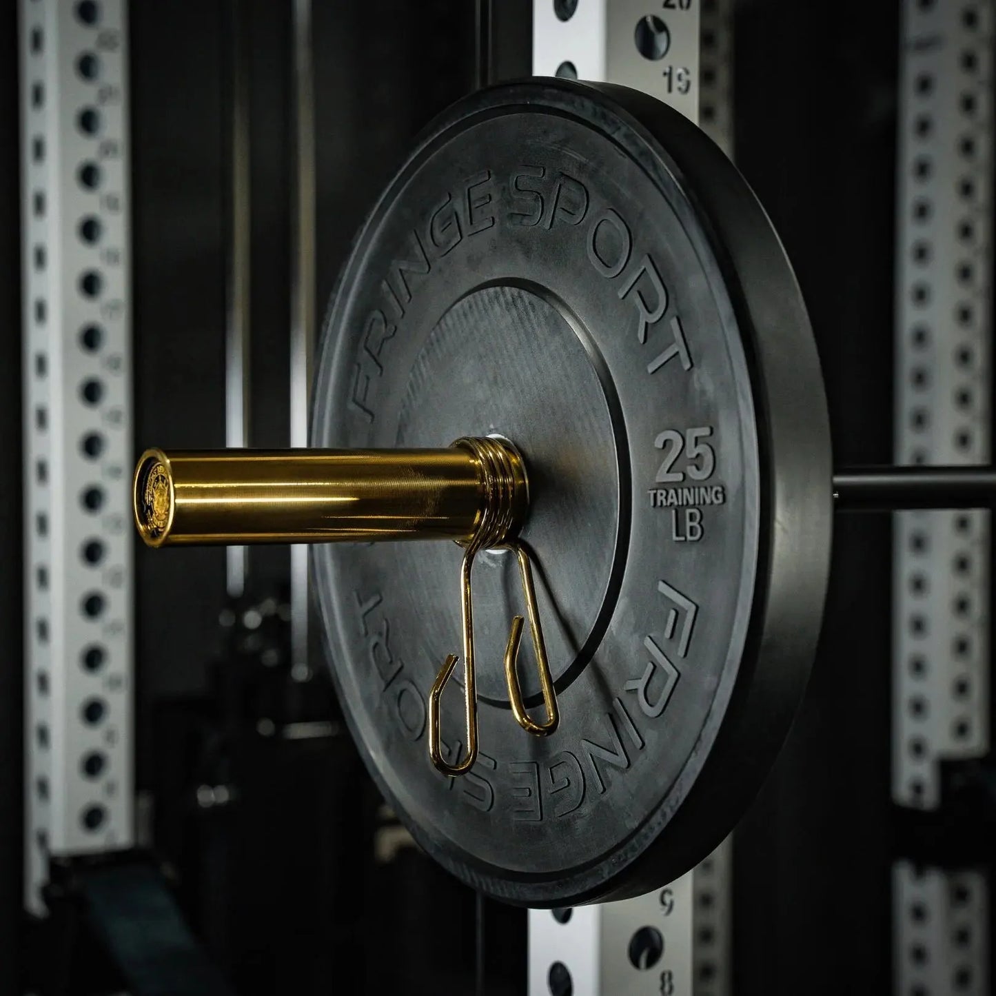 Fringe Sport Midas EZ Curl Bar