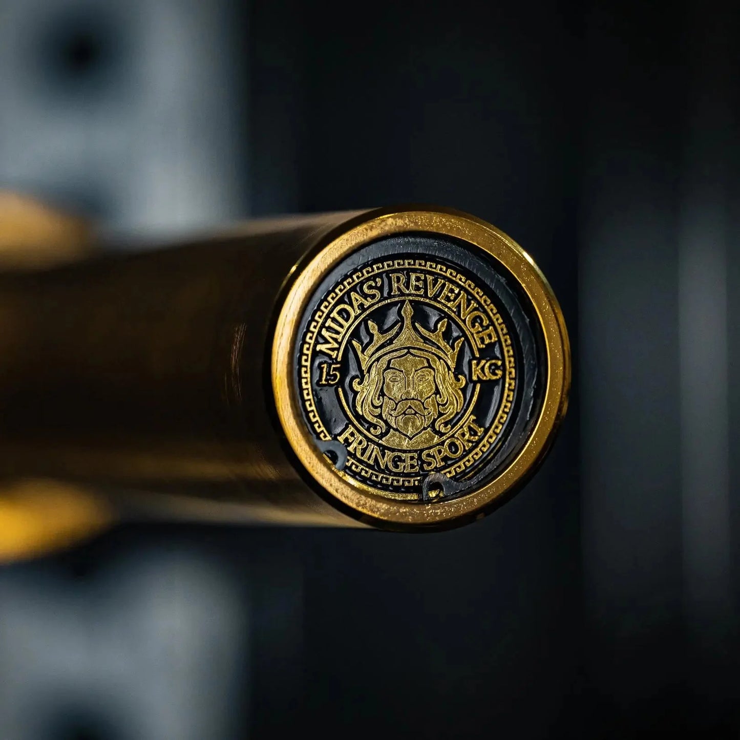 Fringe Sport Midas EZ Curl Bar