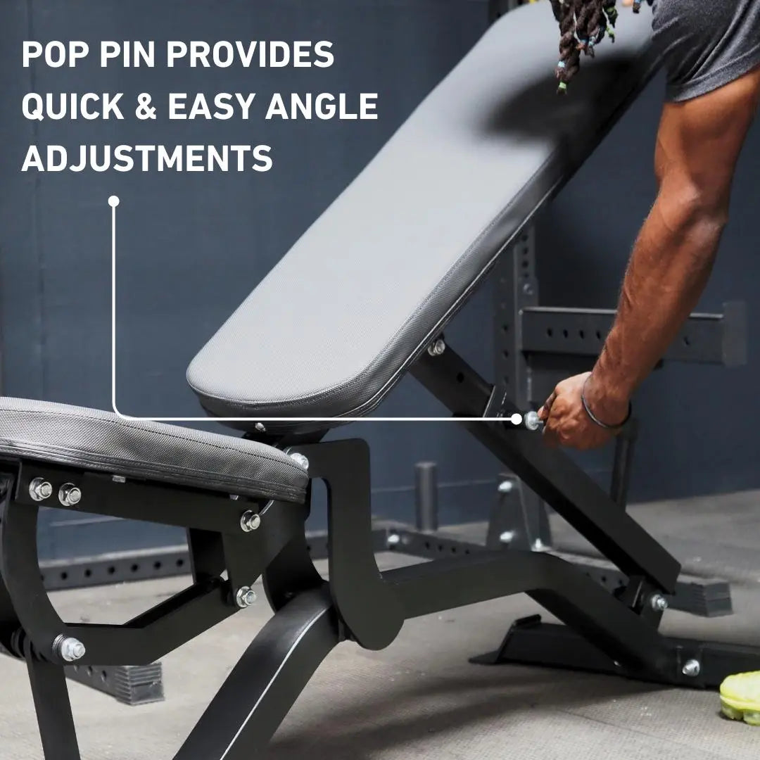 Fringe Sport Econ Adjustable Bench V2