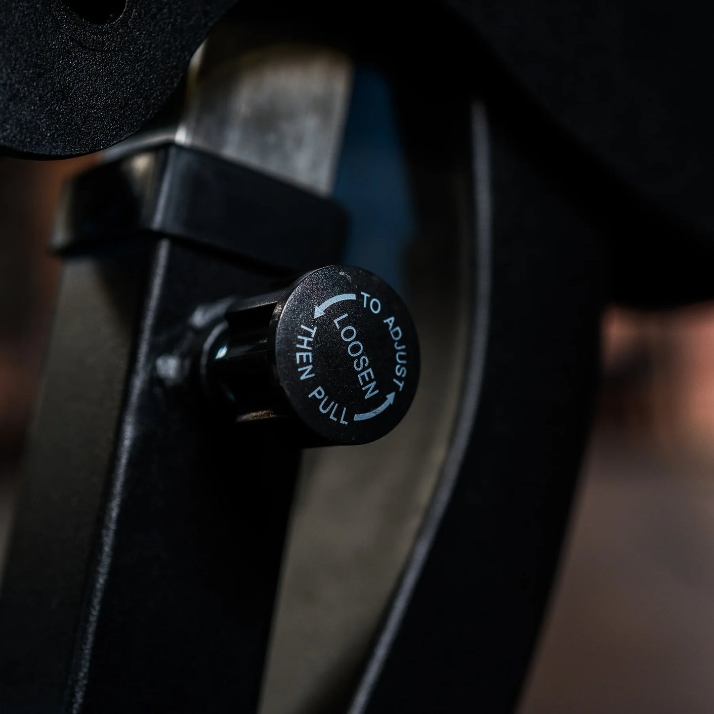 Fringe Sport Flat Incline Decline Bench