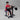 Body-Solid CAM Biceps & Triceps GCBT380B