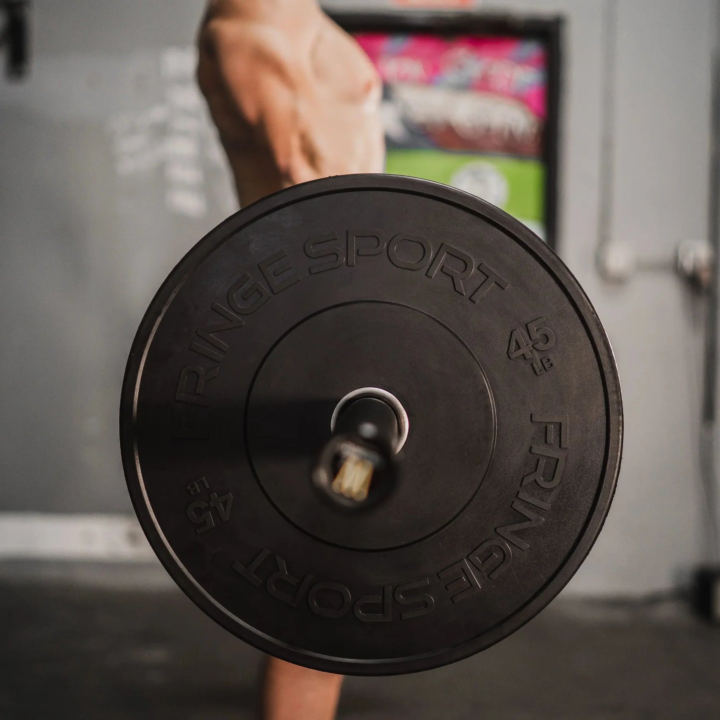 Fringe Sport MilSpec Black Bumper Plate Pairs