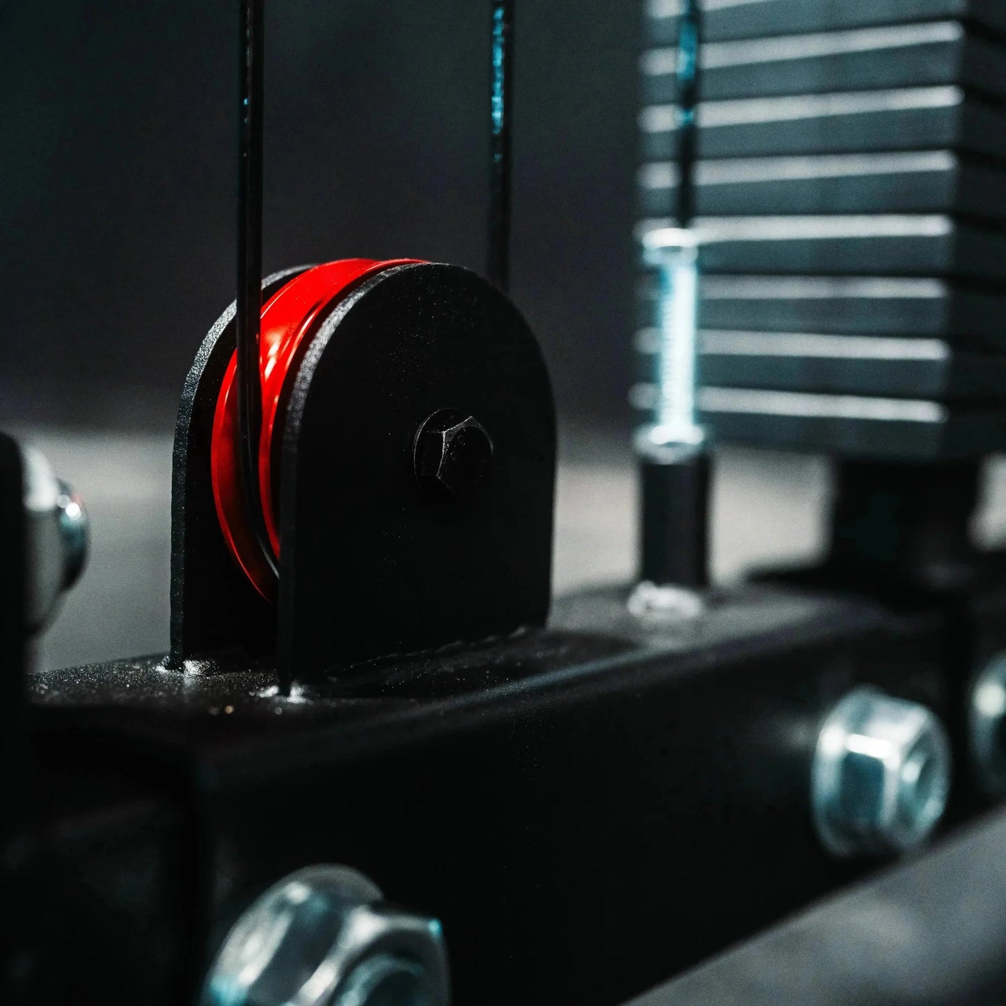 The Dane 2.0 Half Rack Functional Trainer by Fringe Sport