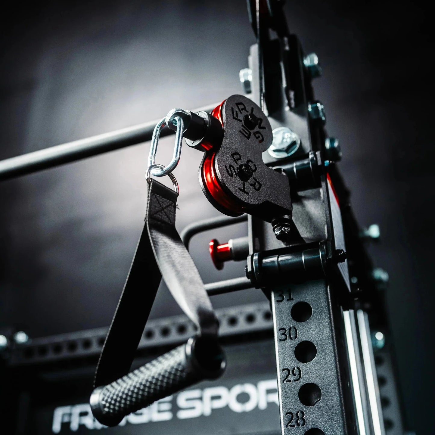The Dane 2.0 Half Rack Functional Trainer by Fringe Sport