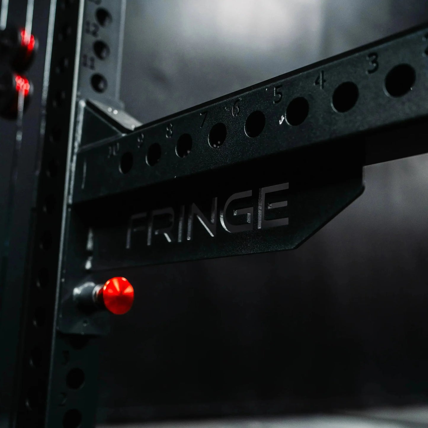 The Dane 2.0 Half Rack Functional Trainer by Fringe Sport