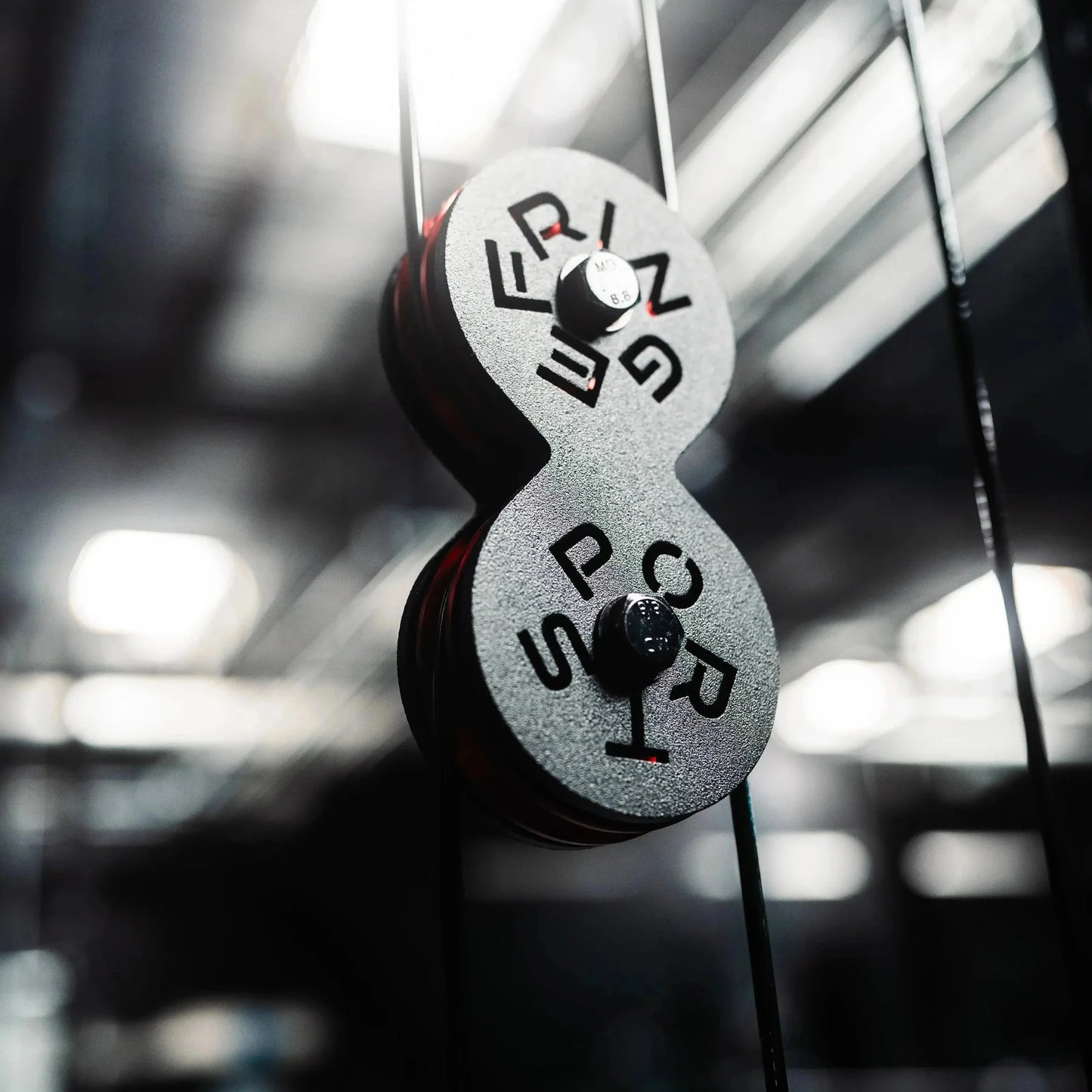 The Dane 2.0 Half Rack Functional Trainer by Fringe Sport