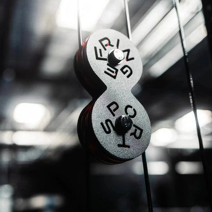 The Dane 2.0 Half Rack Functional Trainer by Fringe Sport