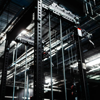 The Dane 2.0 Half Rack Functional Trainer by Fringe Sport