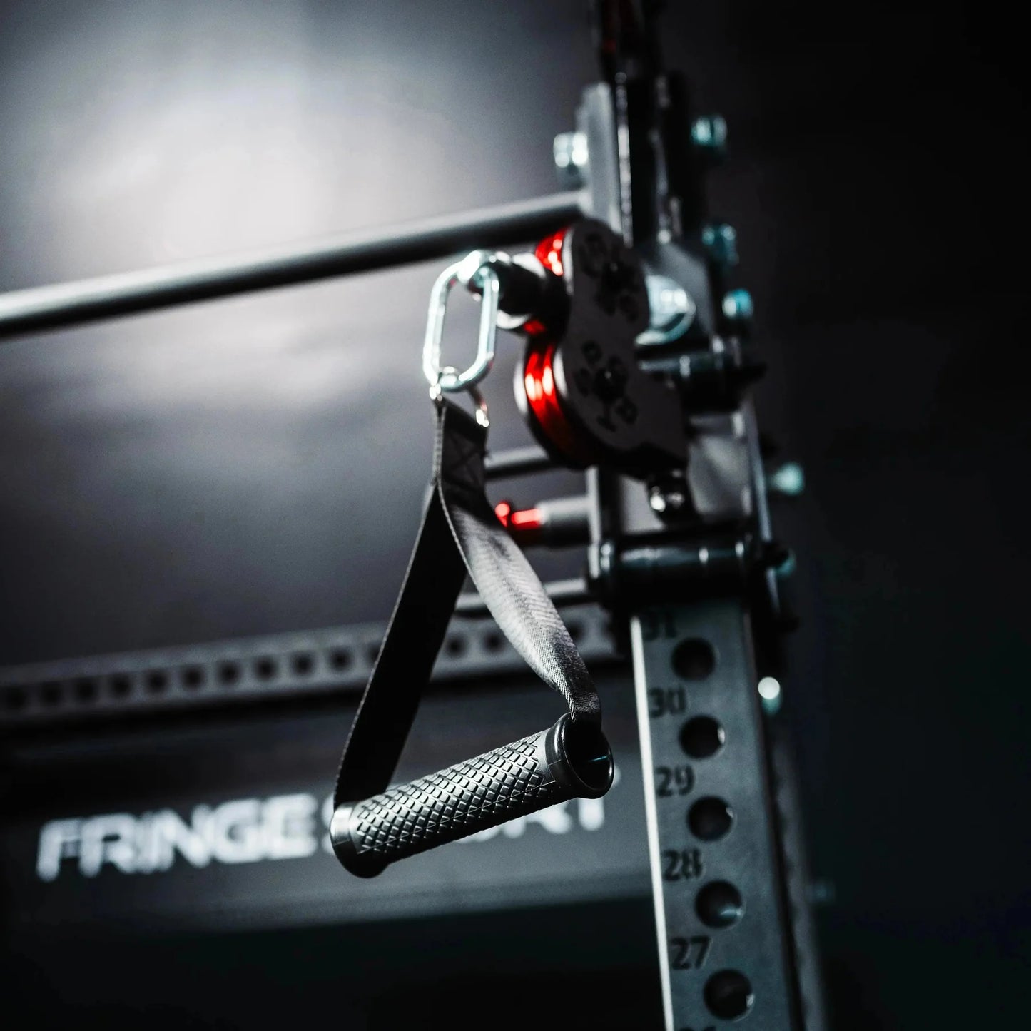 The Dane 2.0 Half Rack Functional Trainer by Fringe Sport