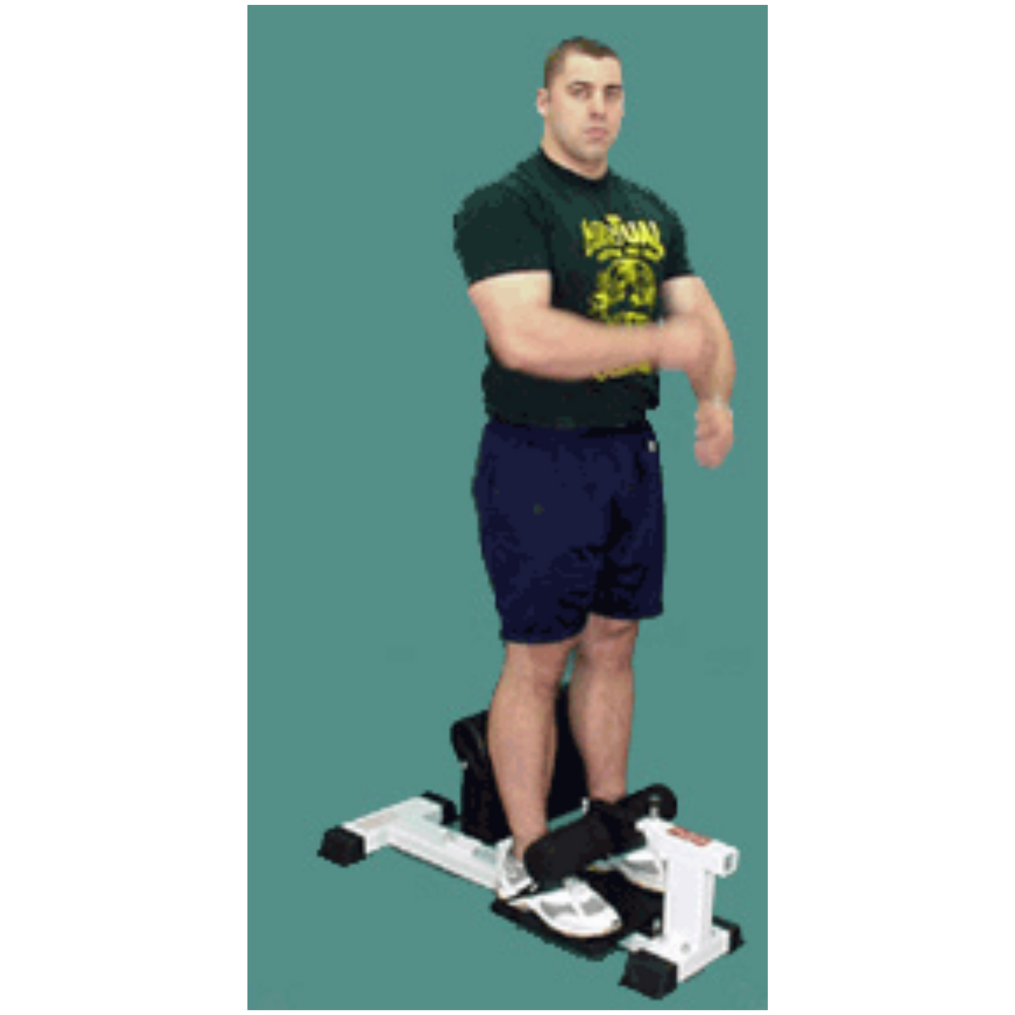TDS Pro Sissy Squat TDS-93166