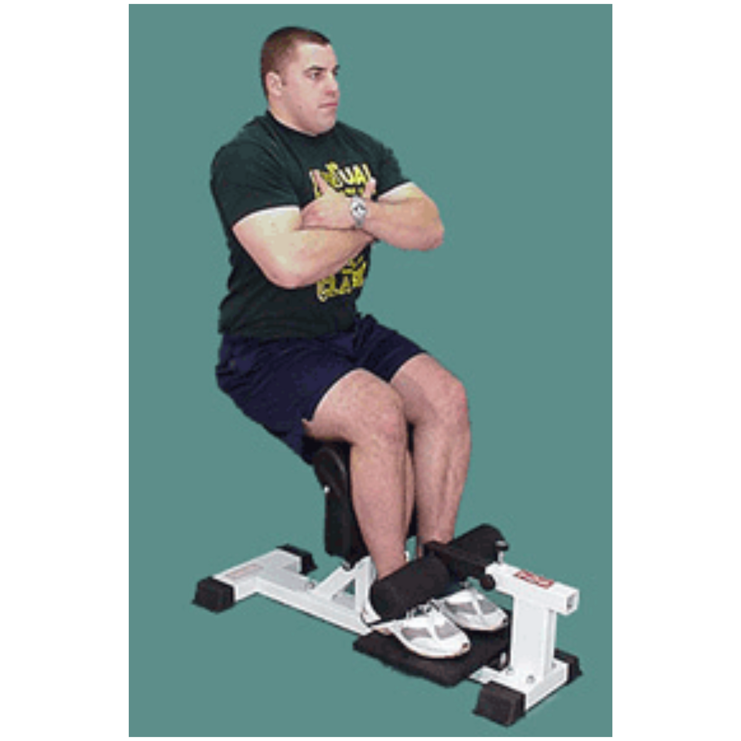 TDS Pro Sissy Squat TDS-93166