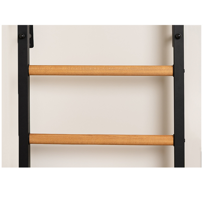 BenchK 211B Wall Bars