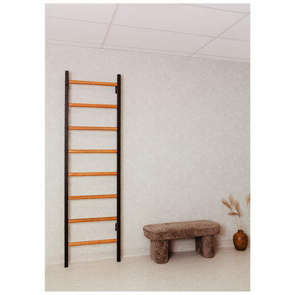 BenchK 200B Wall Bars