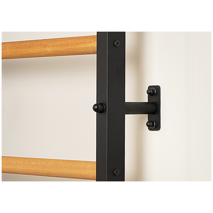 BenchK 211B + A076 Swedish Ladder For Kids with Gymnastic Accessories