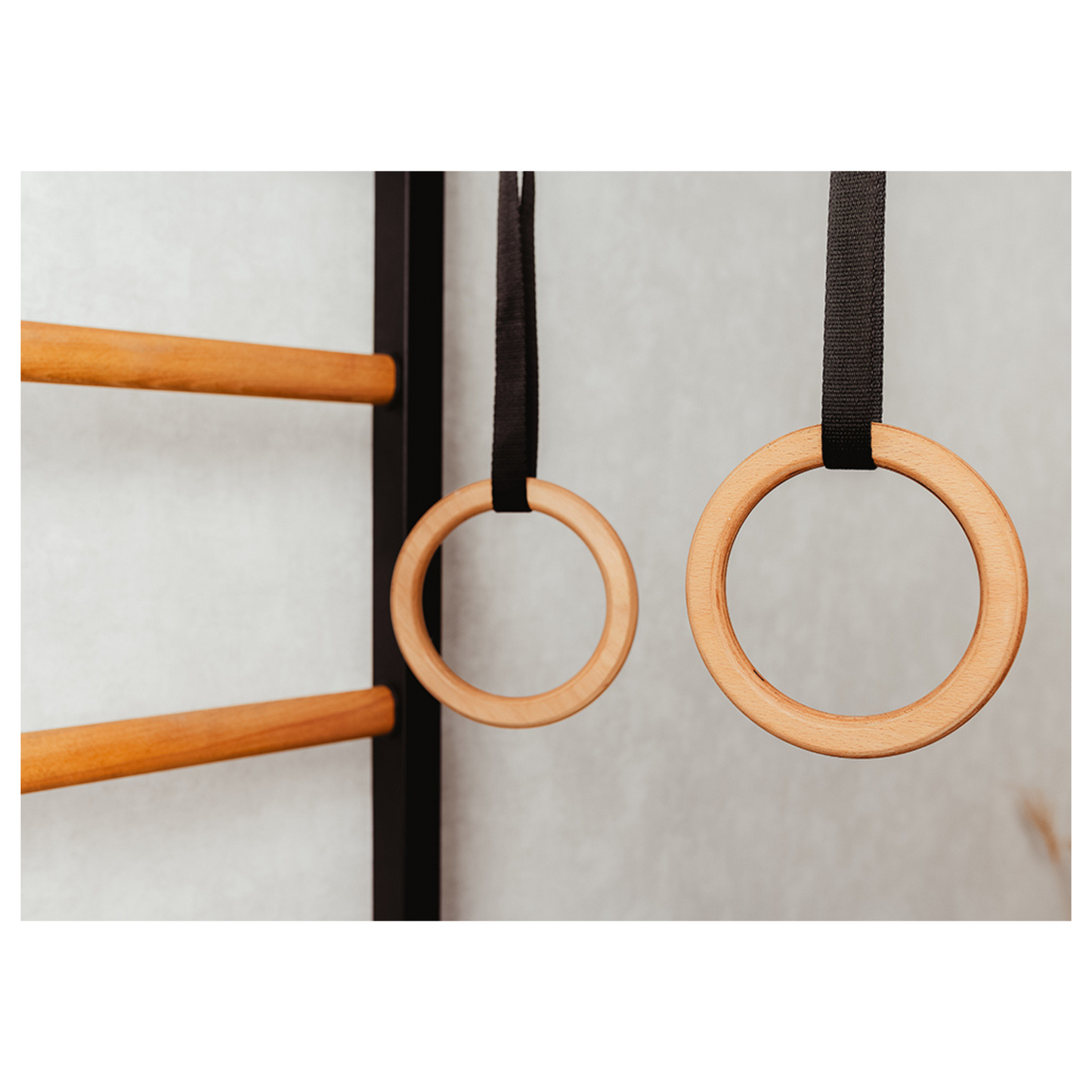 BenchK 212B + A076 Swedish Ladder for Kids with Gymnastic Accessories & Benchtop
