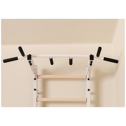 BenchK 221W + A204 Wall Bars