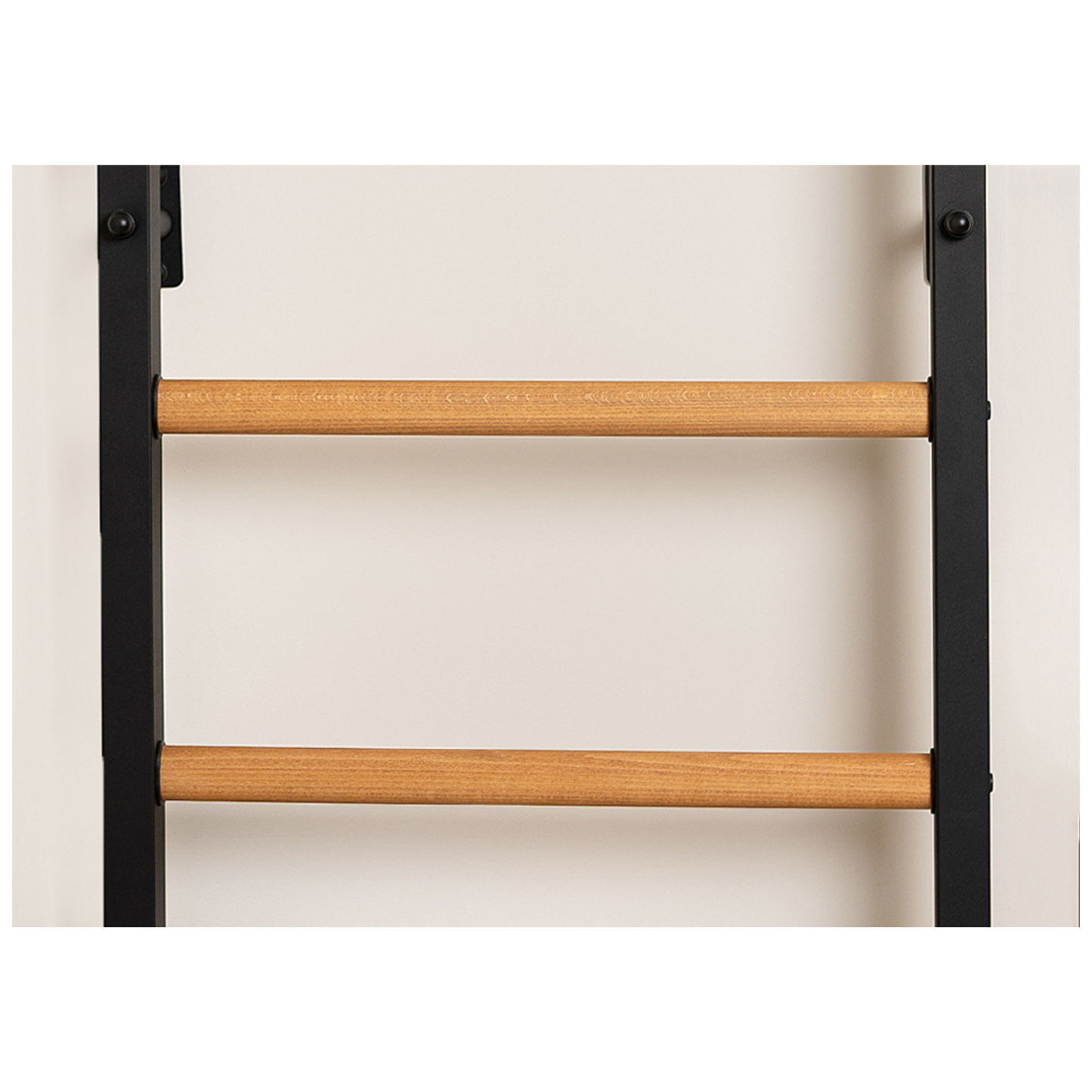 BenchK 231B Wall Bars