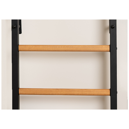 BenchK 231B Wall Bars