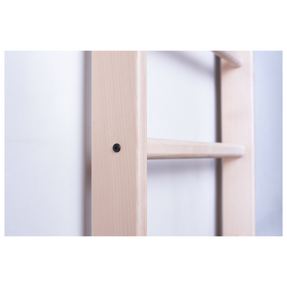 BenchK 100 Wall Bars