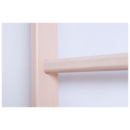 BenchK 111 Swedish Ladder