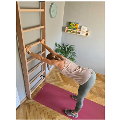 BenchK 112 Wall Bars with Pull-Up Bar & Benchtop