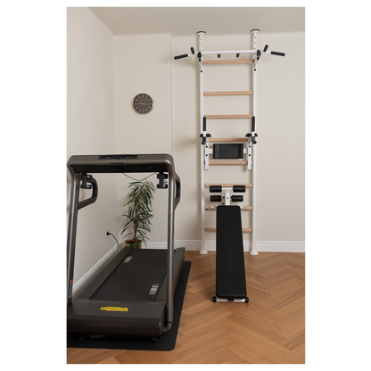BenchK 523W Wall Bars