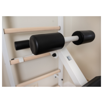 BenchK 523W Wall Bars