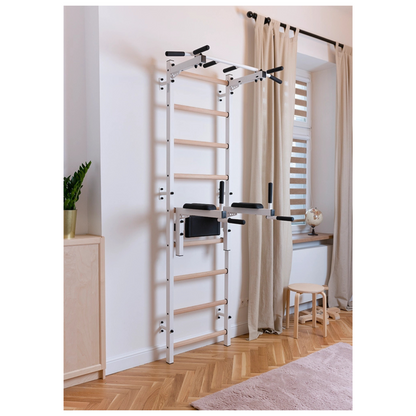 BenchK 722W Wall Bars with Pull-Up Bar & Dip Station
