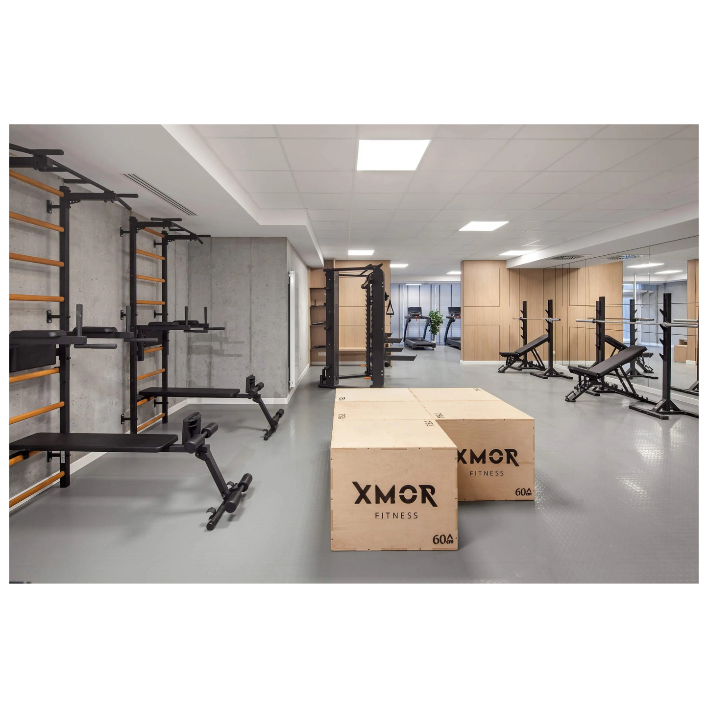 BenchK 723B Gymnastic Ladder for Home Gym or Fitness Room