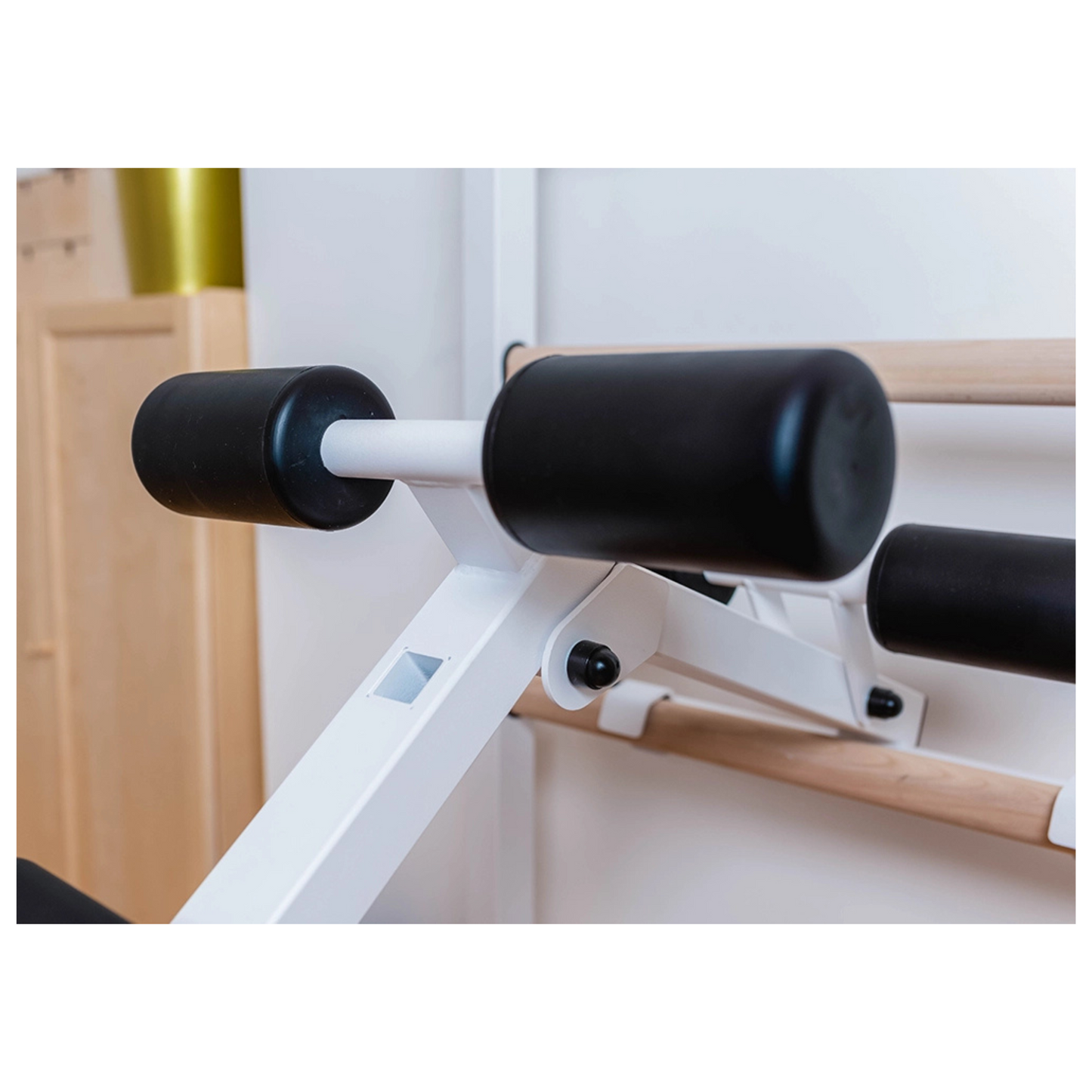 BenchK 723W Gymnastic Ladder for Home Gym or Fitness Room