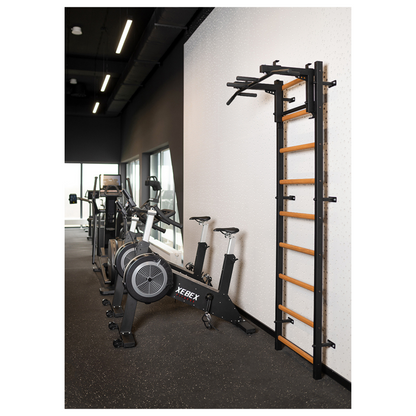 BenchK 731B Wall Bars