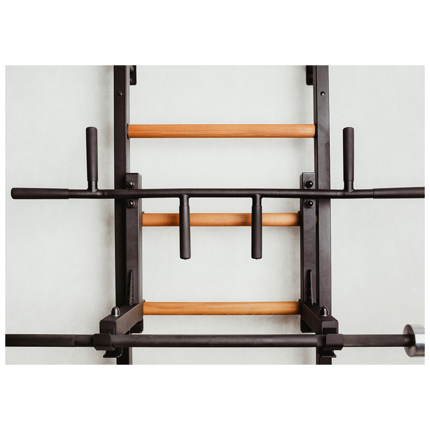 BenchK 731B Wall Bars
