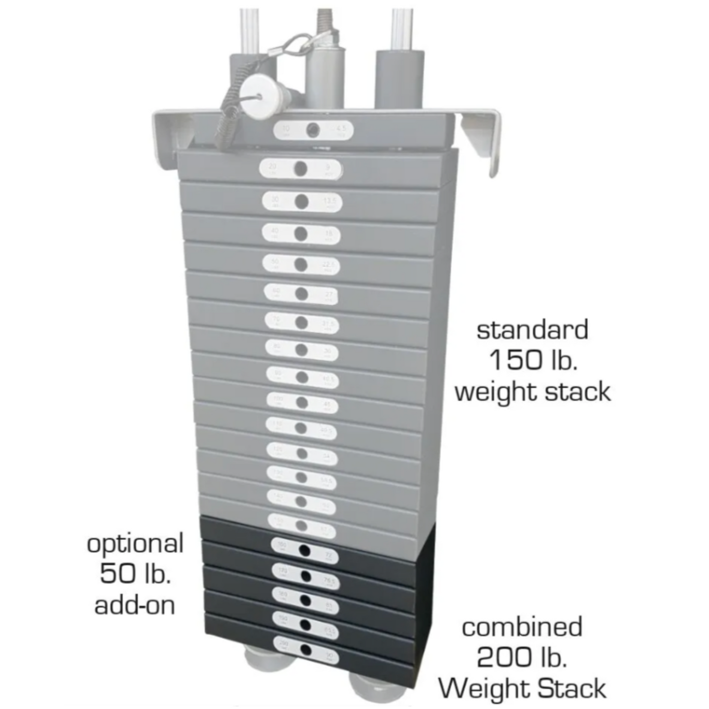 Paradigm GX6 Activity Trainer