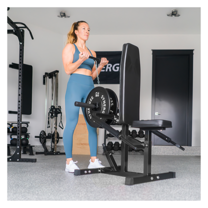 Synergee Seated Dip Machine
