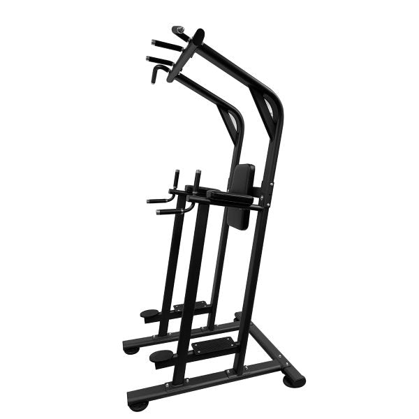 TAG Fitness Vertical Knee Raise Chin & Dip