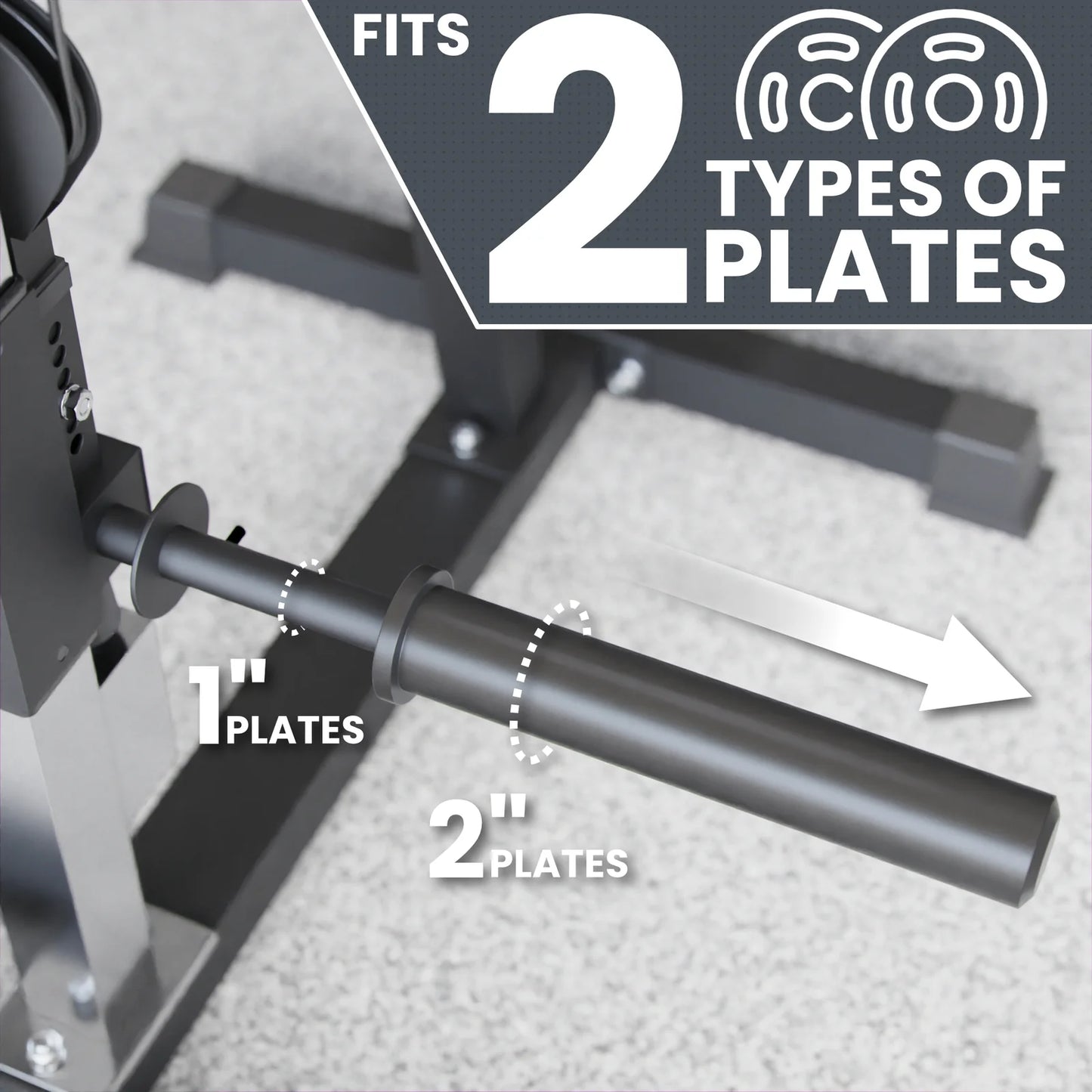 Synergee Chest Fly and Reverse Delt Machine